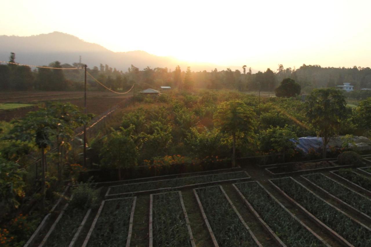 Forest Side Farm - Homestay At Kotabagh Near Nainital And Jim Corbett 외부 사진